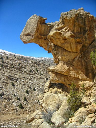 چالقفا