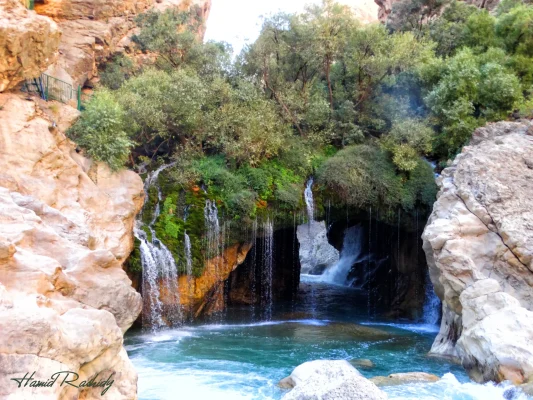 آب ملخ
