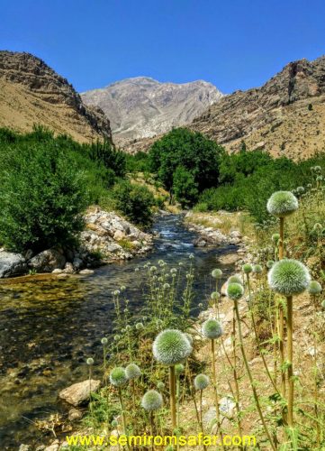 تنگ ریگان