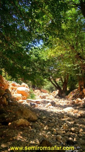 تنگ ریگان1